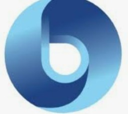 Blue Ocean Marine and Offshore Solutions, Inc.