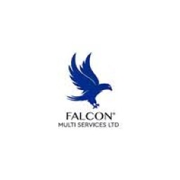 Falcon Multi Services Ltd.