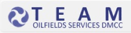 TEAM OILFIELD SERVICES DMCC 