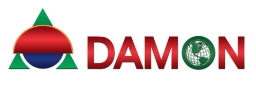 Damon Global
