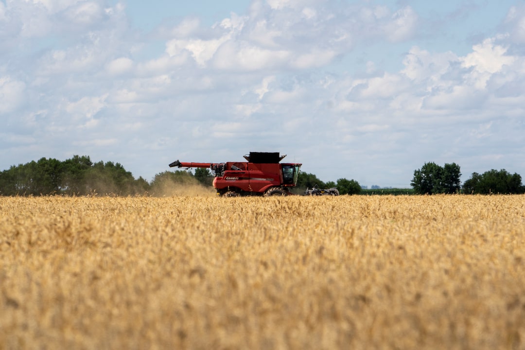 China Resumes U.S. Wheat Purchases After Trump–Xi Meeting