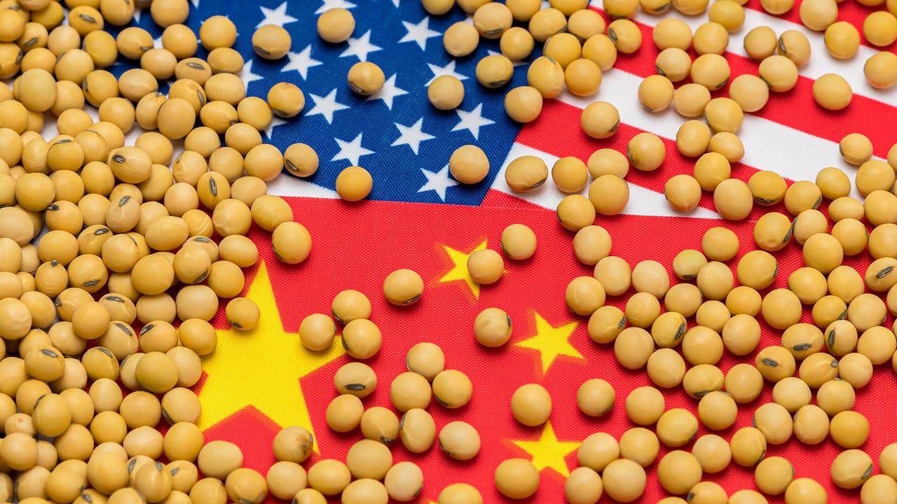 China’s U.S. Soybean Purchases Stall Despite Trump’s Trade Truce