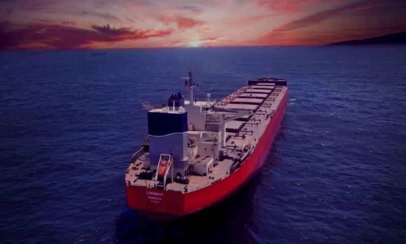 Bulker Newbuilding Orders Plunge to Five-Year Low Amid Market Uncertainty