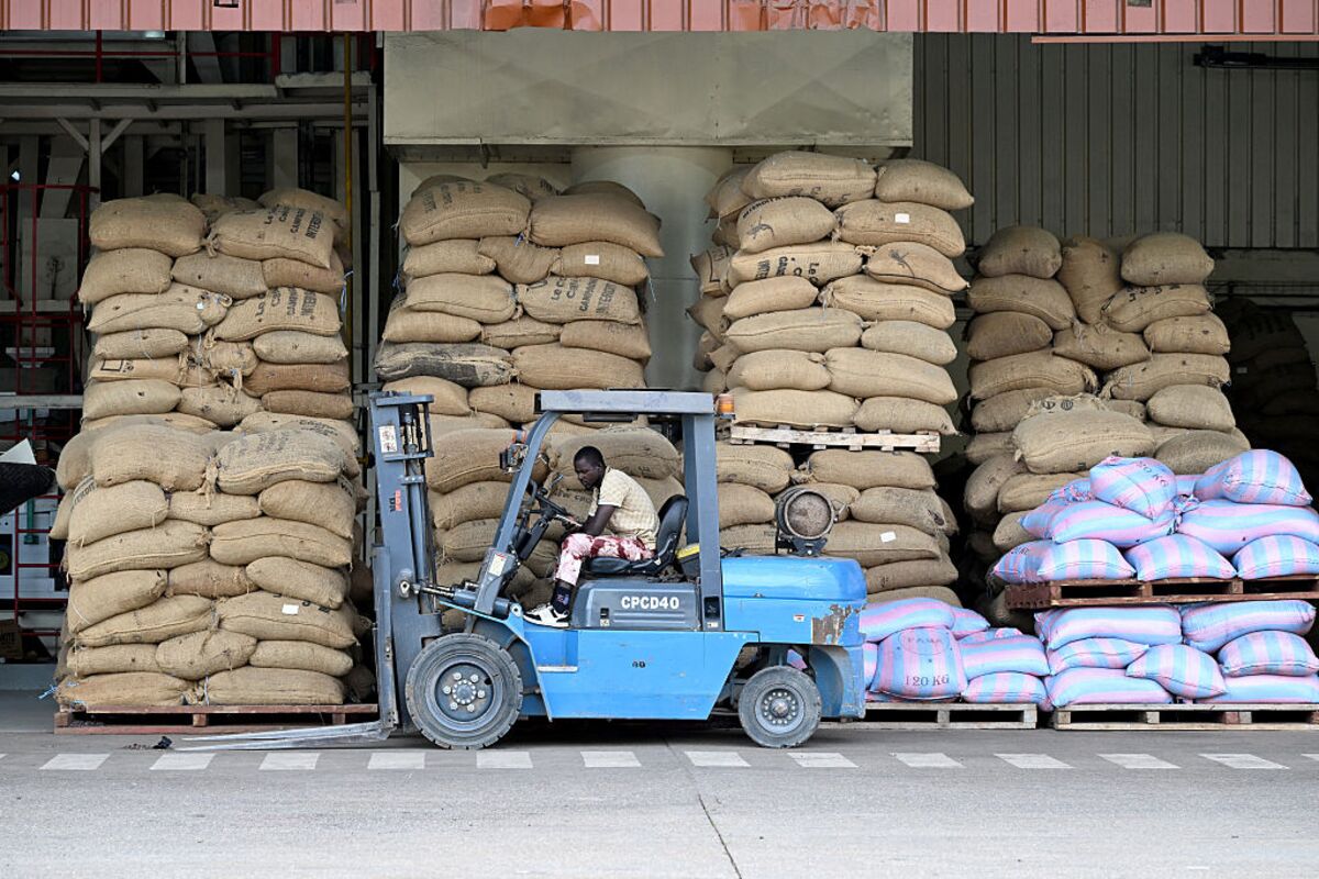 Cocoa Piles Up At Ivory Coast Ports As Buyers Face Cash Shortage