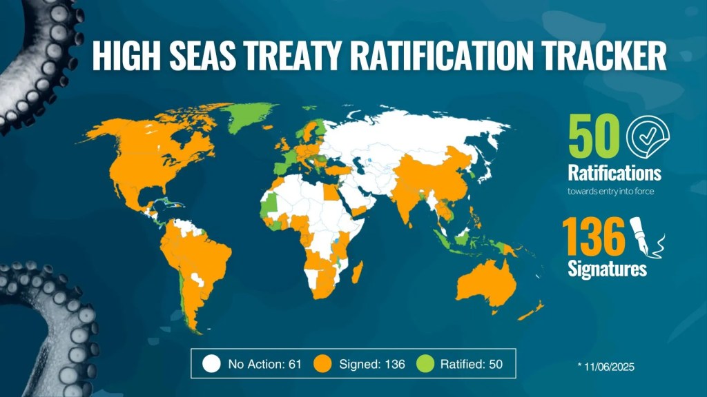 UN High Seas Treaty Enters Into Force