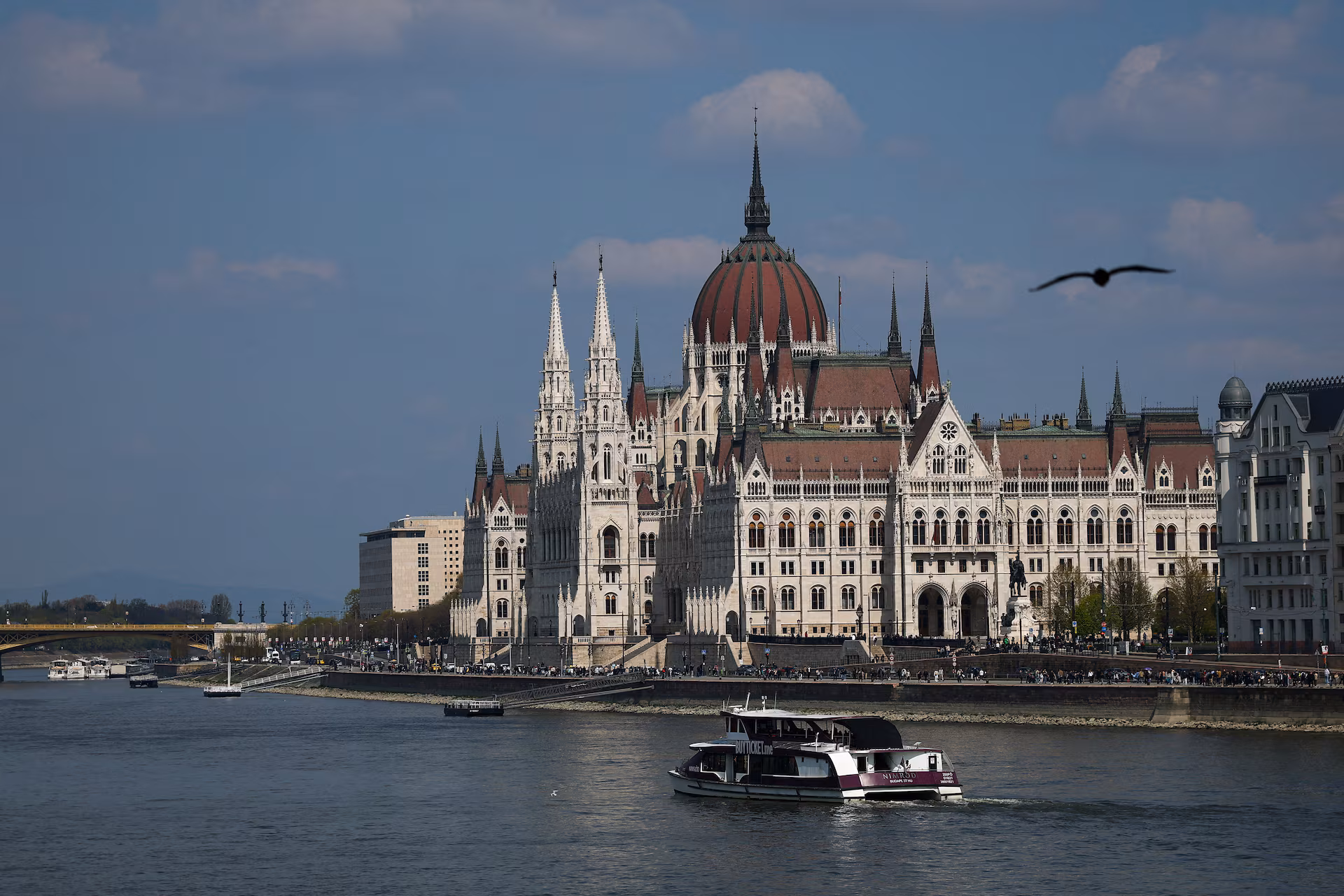 Near-Record Low Water Levels Leave Cruise Vessels Stranded