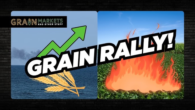 Grains Markets Hit New Highs on Black Sea Attacks, Crude Oil Rally