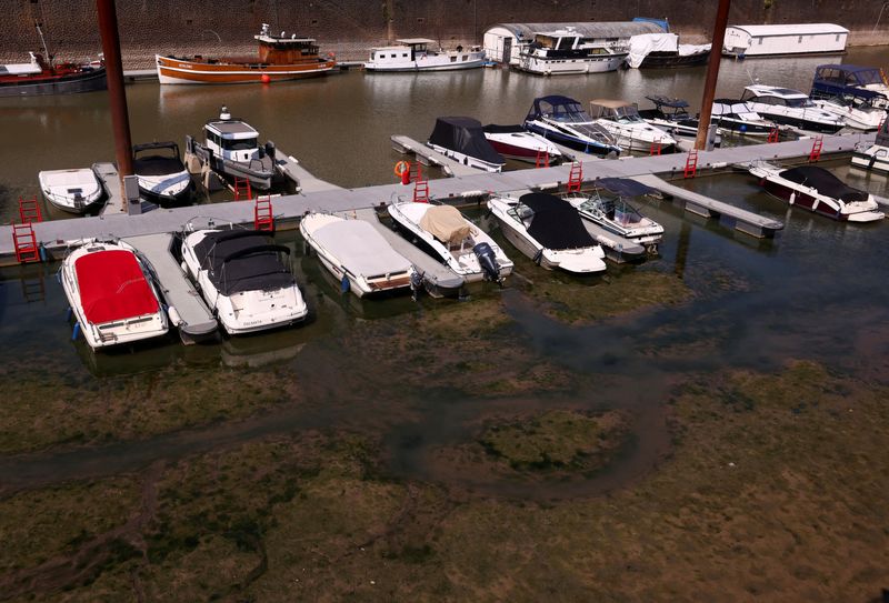 Europe’s Shrinking Rivers Curb Power Output, Transport and Company Earnings
