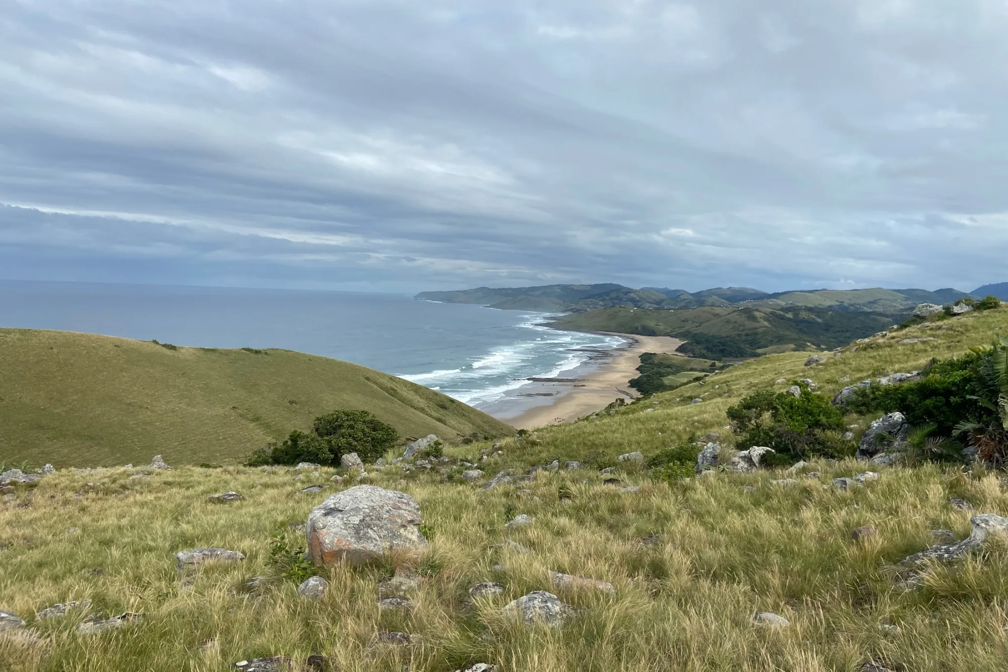 Shell Loses Lengthy Legal Fight With South African Activists